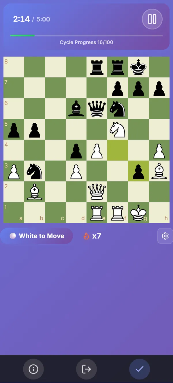 ChessWoodie Puzzle Training Interface